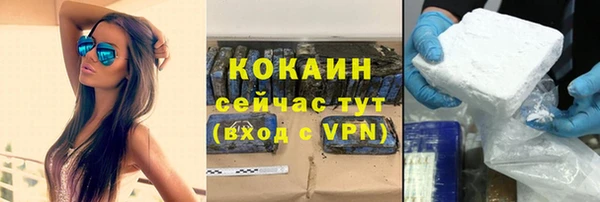 стаф Ладушкин