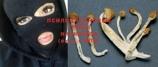 спиды Липки