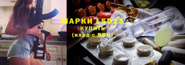 хмурый Шали