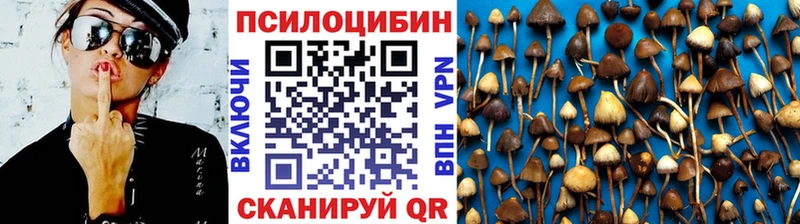 Псилоцибиновые грибы Magic Shrooms  Порхов 